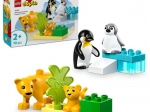 LEGO DUPLO družine divjih živali: pingvini in levi