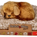 Majhen kužek Perfect Petzzz