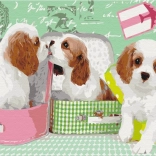 Paint it! Slikaj po številkah: Prisrčni psički