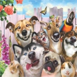 Diamantno barvanje Noro selfie 30x40 cm