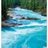 Stenski koledar Voda 2026