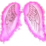 Rožnata krila za angela in vilo