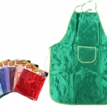 Predpasnik za likovno vzgojo