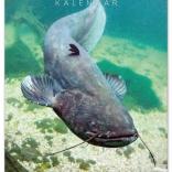 Stenski koledar Ribiški 2026