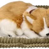 Dihajoče mladičko CORGI – realistična plišasta igrača