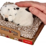 Lajajoči dalmatinec na ležišču