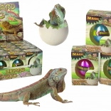 Magično valilno jajce – rastoči kuščar 6 cm