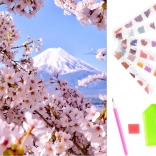 Diamantni slikarski komplet z motivom cvetov češnje