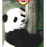 Set barvic KOH-I-NOOR 12 barv