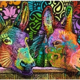 Sestavljanka 1000 kosov – zaljubljena oslička (Jelly Pets) – Heye