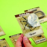 izobraževalni komplet izkopavanja – žuželke