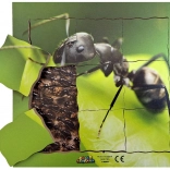 Mravlja in njen življenjski cikel - lesena plastna sestavljanka