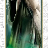 Sestavljanka Harry Potter Dumbledore 300 koščkov