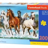 Sestavljanka 200 kosov Call of Nature