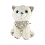 Plišasta mucka z rutico 22 cm