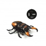 RC hrošč rogač z infrardečim upravljanjem