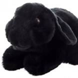 Plišasti črni zajček ECO-FRIENDLY