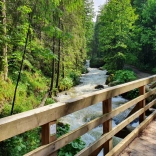 Norimpex diamantno slikanje leseni most v gozdu 30x40cm