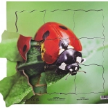 Just Jigsaws Lesene plastne sestavljanke Pikapolonica in njen življenjski cikel 19 kosov