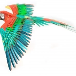 metal earth 3D puzzle papiga ICONX – kovinski model za sestavljanje