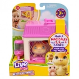 Little Live Pets Mini Mama hrček s presenečenjem mladičkov v hišici