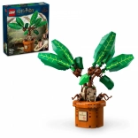 Konstruktor LEGO Harry Potter Mandragora