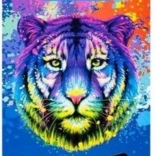 Trikotne barvice Triocolor 36 kosov KOH-I-NOOR - tiger