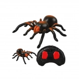 RC tarantela – pajek na daljinsko upravljanje s svetlečimi očmi