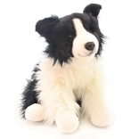 Plišasta border collie 35 cm