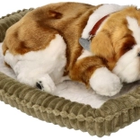 Dihajoče pasje mladiče buldog