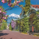 Puzzle 2000 kosov Merano Italija