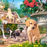 Sestavljanka 100 kosov Hide and Seek