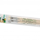 Komplet čopičev za slikanje