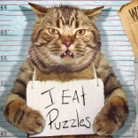 Sestavljanka Eurographics Mačji zločinec XL 500 kosov