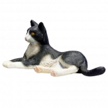 Črno-bela ležeča mačka Mojo