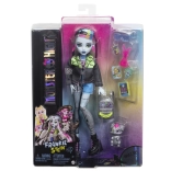 Lutka Monster High Frankie Stein z dodatki