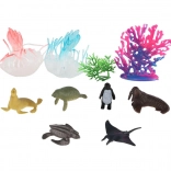 Set morskih živalic in koral