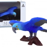 Figurica modre are – živali sveta