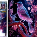 Norimpex diamantno slikanje Nočna ptica 30x40 cm