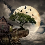 Sestavljanka ENJOY brunarica na pečini 1000 koščkov