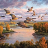 Puzzle Selitev COBBLE HILL 1000 kosov