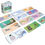 Véééliké puzzle duo: kje živijo živali