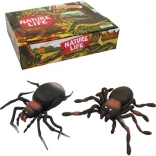 Zabavni gumijasti pajki v razstavni škatli