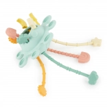 Silikonska motorična igrača z aktivnostmi Eucalyptus