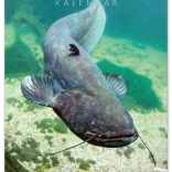 Stenski koledar Ribiški 2026