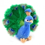Plišasti páv 25 cm