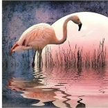 Norimpex diamantno slikanje Flamingo 30x40 cm