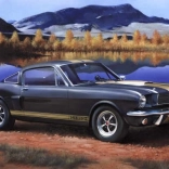Plastični model Shelby Mustang GT350H