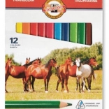 Trikotni barvice TRIOCOLOR 12 kos