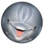 Podvodna žoga SPORTO – delfin za bazen in vrt